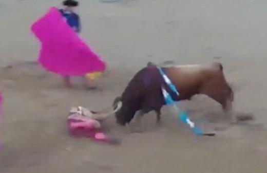 Öfkeli boğa matadoru hastanelik etti! 