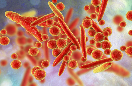 Yeni salgın tehlikesi! Kadınları kısır bırakabiliyor