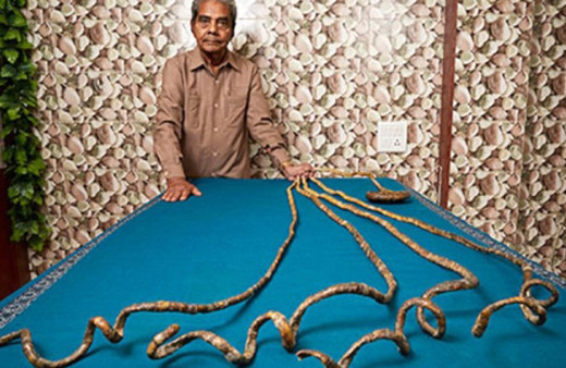 63 yıl uzattığı tırnaklarını kesti, rekor kırdı!