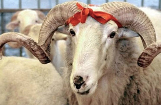 Kurban bayramı tarihi 2018 ne zaman Diyanet İşleri Başkanlığı 