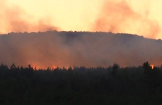 İzmir'de korkutan orman yangını!