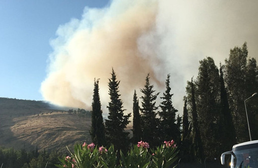 Amanos Dağları'nda çıkan yangın büyüyor