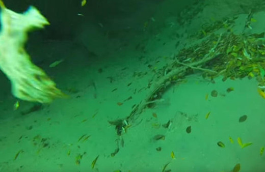 Şelalenin dibinden çıkan şeyler dalgıcı şoke etti