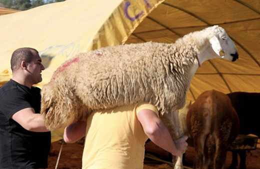 Kurban bayramı ne zaman 2018 bayram başlangıç-bitiş tarihi