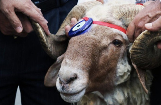 Kurban bayramı başlangıç tarihi-kurban arefesi hangi gün?