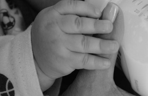 Süt parası sorgulama 2018 kaç para oldu