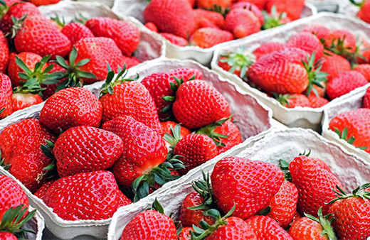 Rusya, Türkiye'den giden 15 ton çileği geri çevirdi!