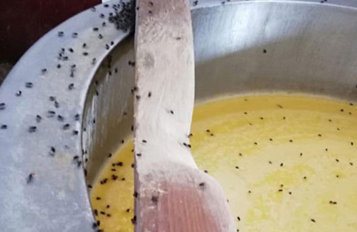 İğrenç manzara! Zabıta pis kokuya dayanamadı