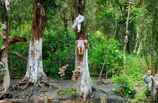 Okuyunca kanınız donacak bu ormana gelen insanlar birer birer...