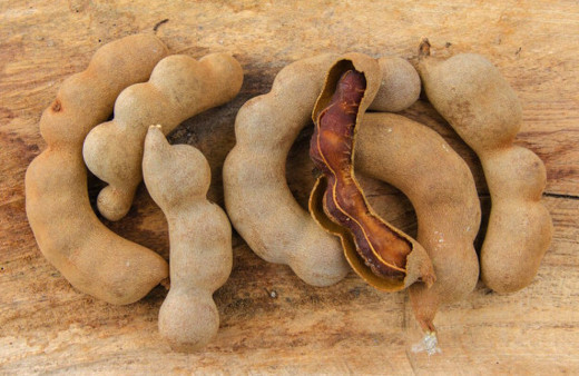 Demir hindi nedir, nelere faydalıdır? Demir hindi nasıl kullanılır? 