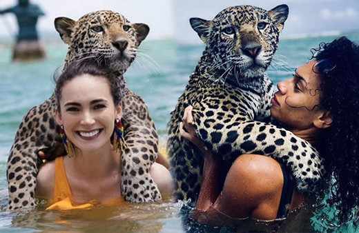 Cesaretin böylesi tehlikeli jaguarlarla yüzüp fotoğraflar çekiliyorlar