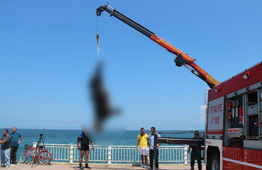 Samsun'da şoke eden görüntü! Denizde kestiler...