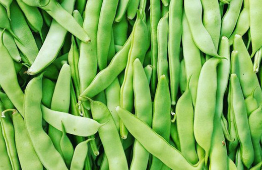 4 kilo  fasulye tam 360 bin liraya satıldı!