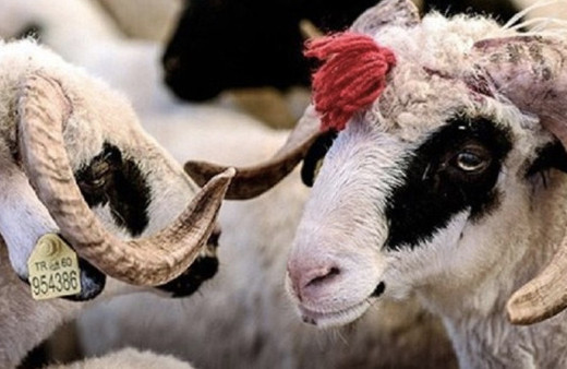 Kurbanbayrami ne zaman 2018 arefe günü tatil mi açıklaması 