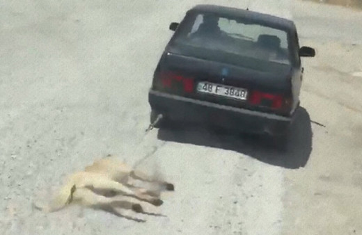 Sosyal medya ayağa kalktı: Polis her yerde onu arıyor!