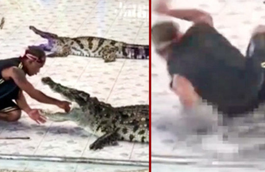 İnanılmaz anlar! Tayland'da timsah dehşeti