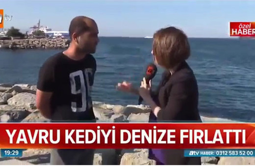 Skandal olay! Yavru kediyi denize attı kendini böyle savundu