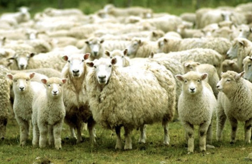 Kurban bayramı başlangıç tarihi-ayın kaçı bayram? 