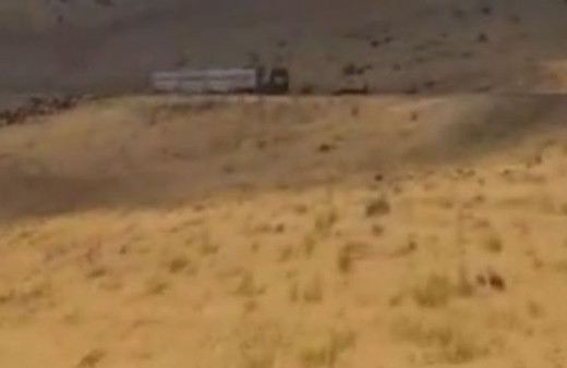 Çoban ve koyun sürüsü trenin altında almaktan son anda kurtuldu! 