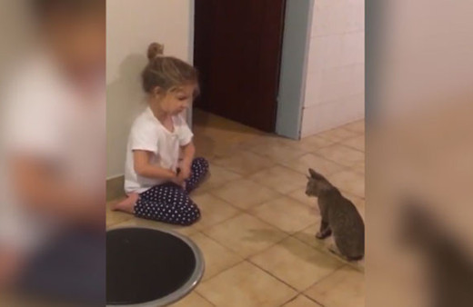 Kediye kızan minik kız intikamını bakın nasıl aldı