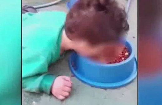 Skandal görüntü! Vicdansız anne oğluna köpek maması yedirdi