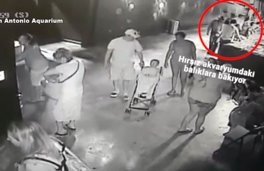 Bu kadarına da pes! Her şey saniyeler içinde oldu