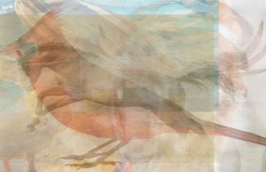 Resimde gördüğünüz ilk hayvan kişiliğinizi ortaya çıkarıyor