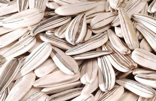 Ay çekirdeği depresyona iyi geliyor!