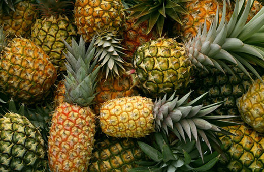 Kabuklarını sakın atmayın!