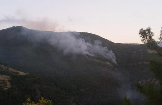 Hatay'da orman yangını 
