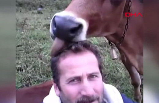 Karadenizli yaptı yine yapacağını! Saçlarını ineğe yalattı sonrası olay...