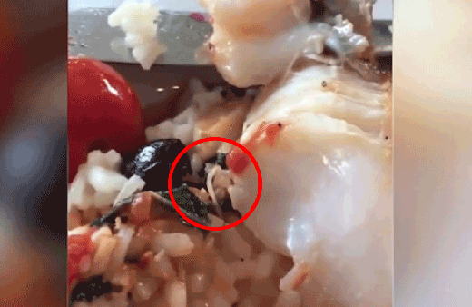 Bir anda balığın içerisinden çıktı! İşletme siparişleri durdurdu