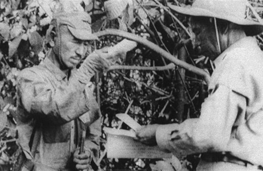 Savaşın bittiğine 30 yıl inanmadı!