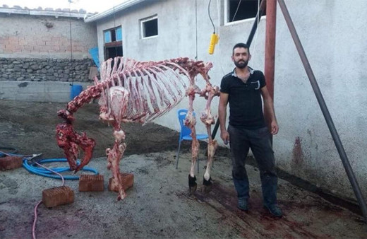 Fotoğraf çektirdi sosyal medyada olay oldu