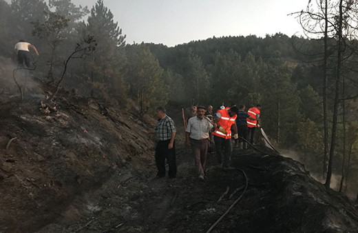 Kaymakam ve vatandaşlar ormanı yanmaktan kurtardı!