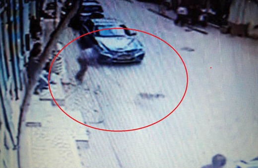 Yol kenarındaki köpeği odunla yaraladı