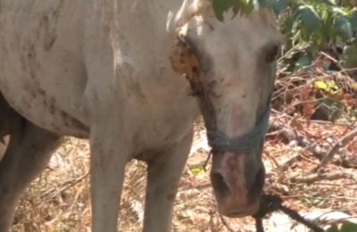 Metruk binada korkunç manzara! Bu halde bulundu