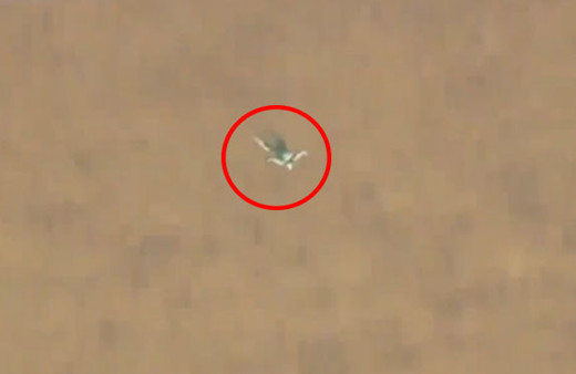 7 bin 620 metreden paraşütsüz atladı!