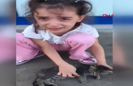 Minik Fatmanur'un yaralı kedi üzüntüsü izlenme rekorları kırıyor