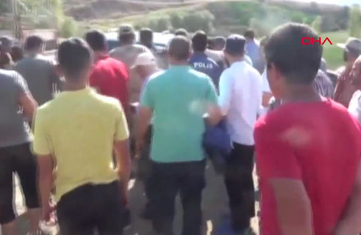 Ortalık fena karıştı! Önce tosunlar ardından sahipleri kavga etti