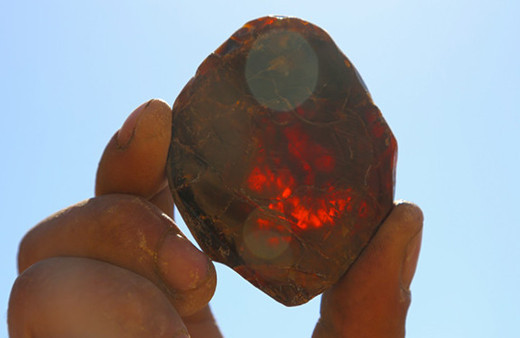 Yıllardır yaktıkları şey 48 milyon yaşında çıktı