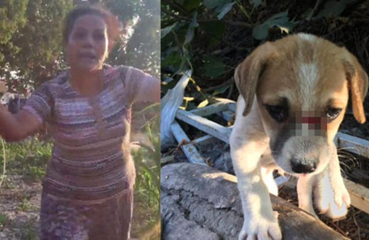 Bunun adı vahşet! Odunla döverek bu hale getirdi