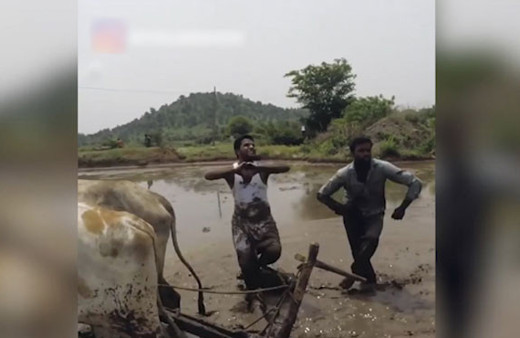 Tüm dünyayı saran Kiki challenge akımını bitirecek olan video!