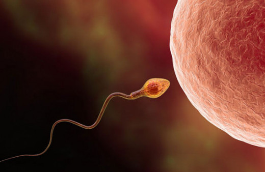 Sperm sayısını arttırmak için neler yapılabilir? Sperm sayısını arttırma önerileri...