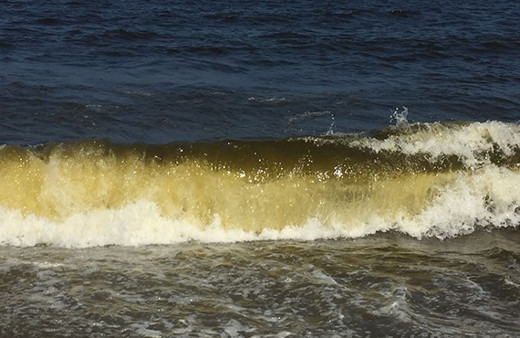 Suyun rengi değişti: Denize girmek yasaklandı!