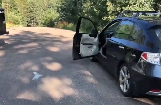 Arabanın içindeki ayı böyle çıkarıldı!