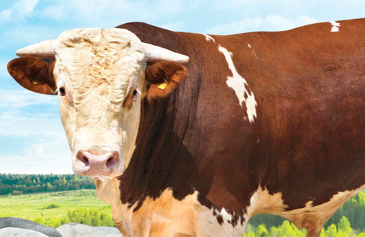 Bayram ayın kaçında başlıyor hangi günleri kapsıyor?