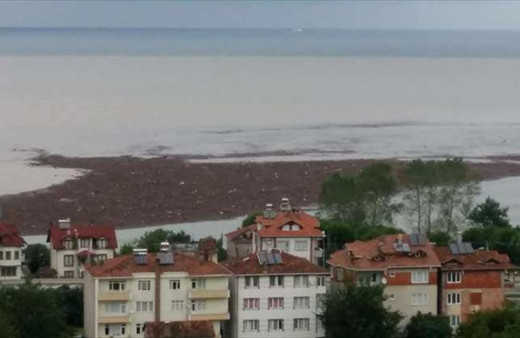 Ordu'daki selden şok görüntü! Asfalt bile yarıldı Fatsa denizindeki bakın ne?