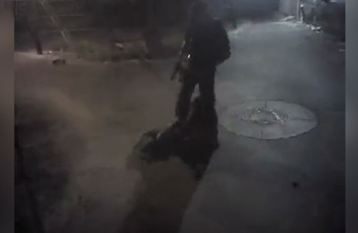 K9 köpeğine saldıran pitbullu silahla vurdular!