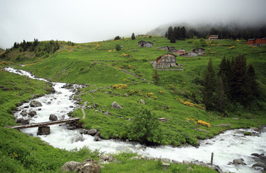 Rize'de 11 Ayder Yaylası daha bulundu